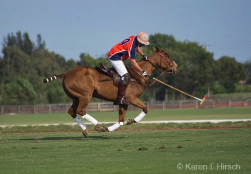 Polo player with horse at full gallop